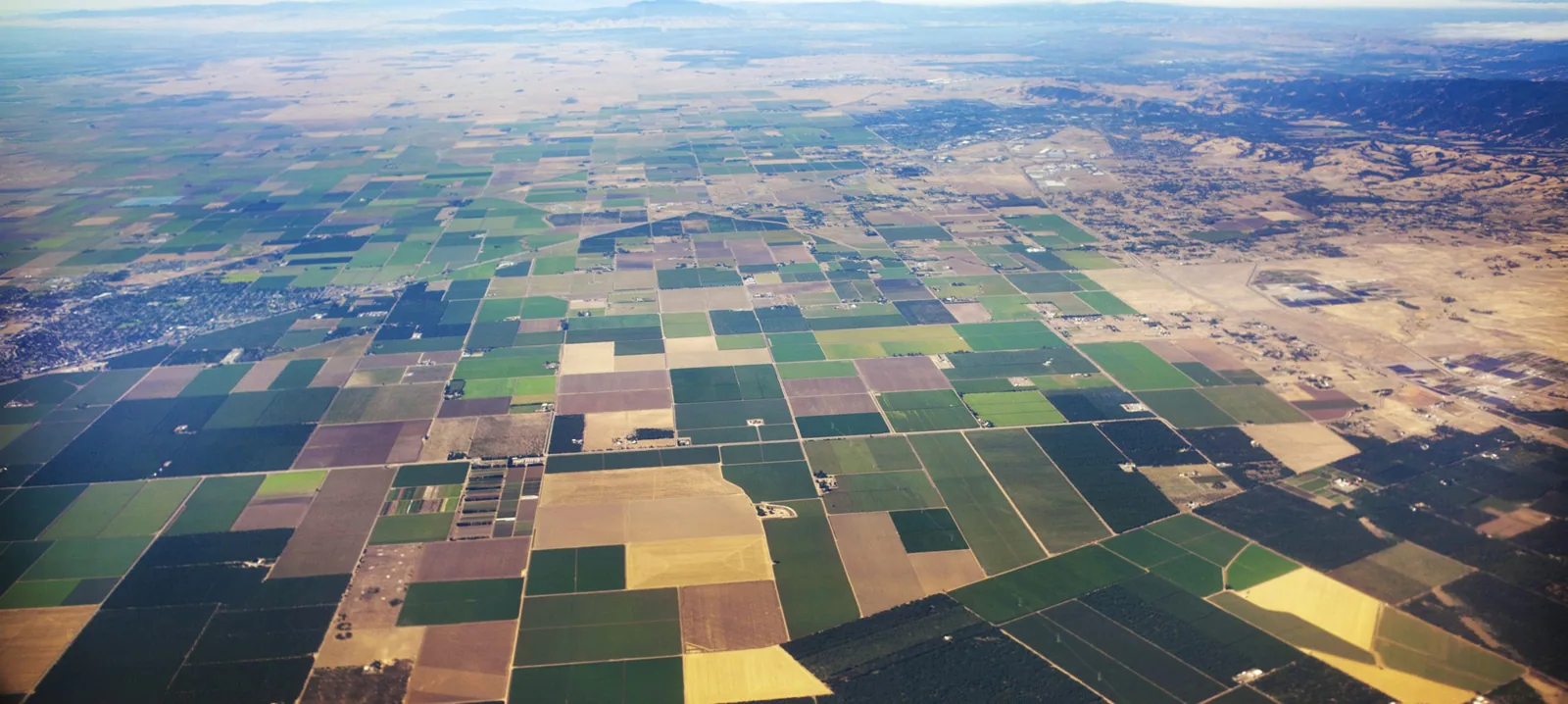Sakioka Farms business park